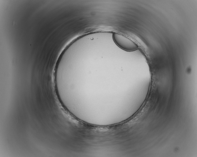 X0000097621190200803211738