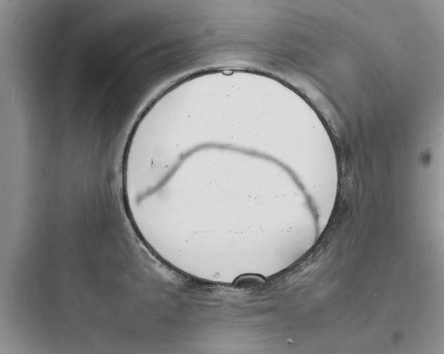 X0000097621191200803211738