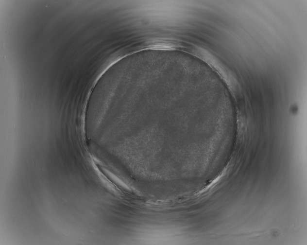 X0000097621194200803211738