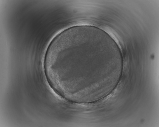 X0000097621197200803211738