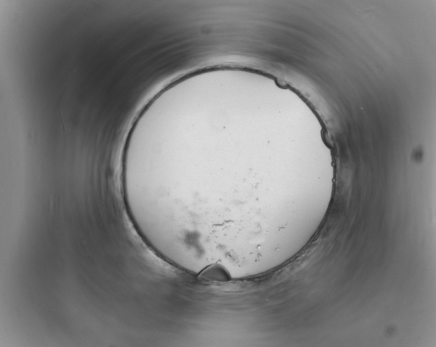 X0000097621199200803211738