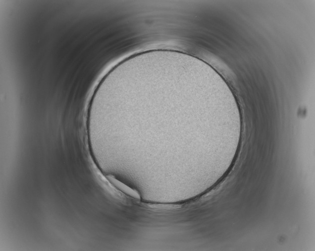 X0000097621200200803211738