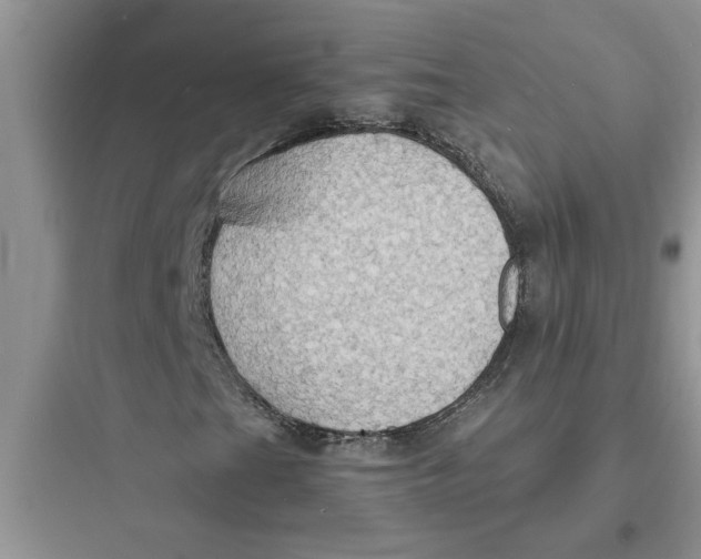 X0000097621201200803211737