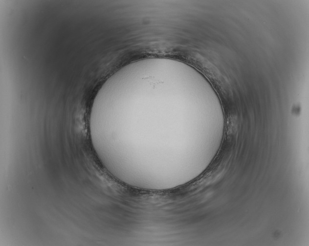 X0000097621202200803211737