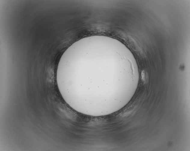 X0000097621203200803211738