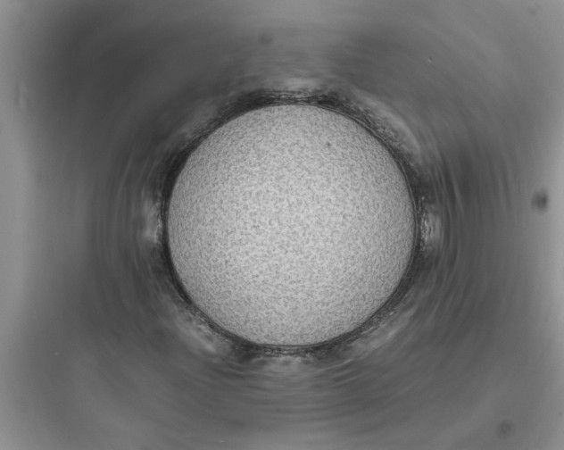 X0000097621204200803211738