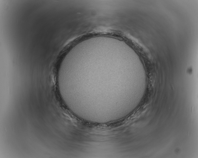X0000097621206200803211738