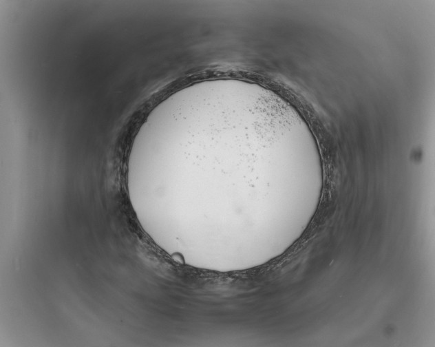 X0000097621207200803211738