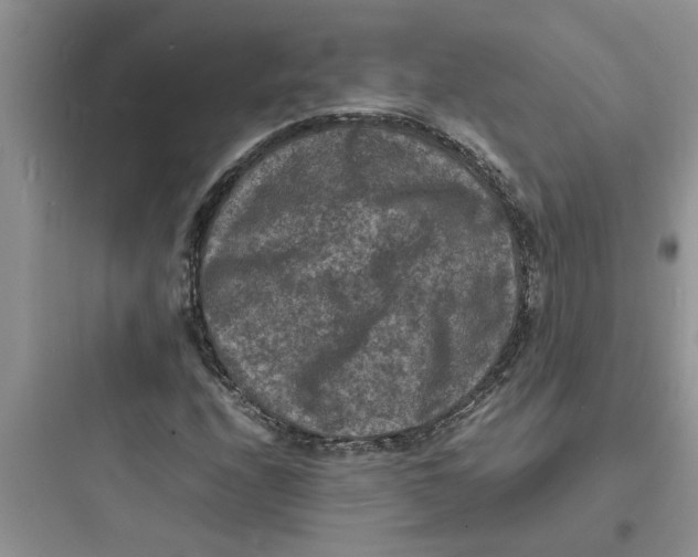 X0000097621208200803211738