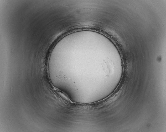 X0000097621210200803211738
