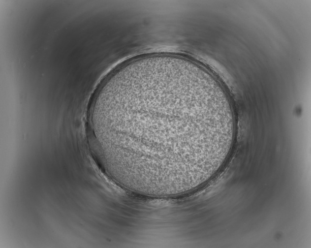 X0000097621212200803211738
