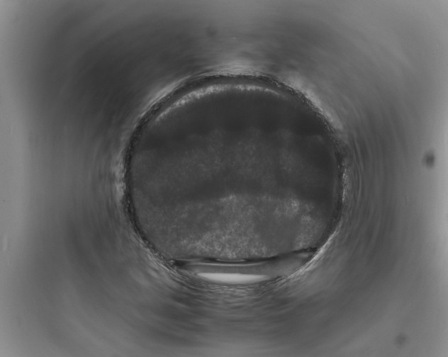 X0000097621213200803211738