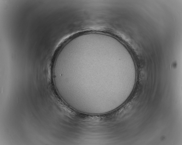 X0000097621214200803211738
