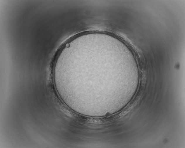 X0000097621215200803211738