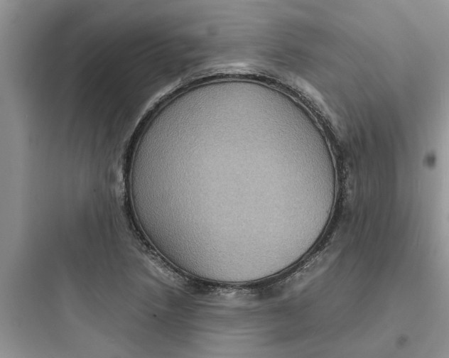X0000097621218200803211738
