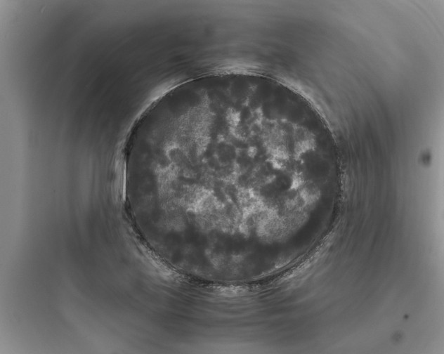 X0000097621219200803211738