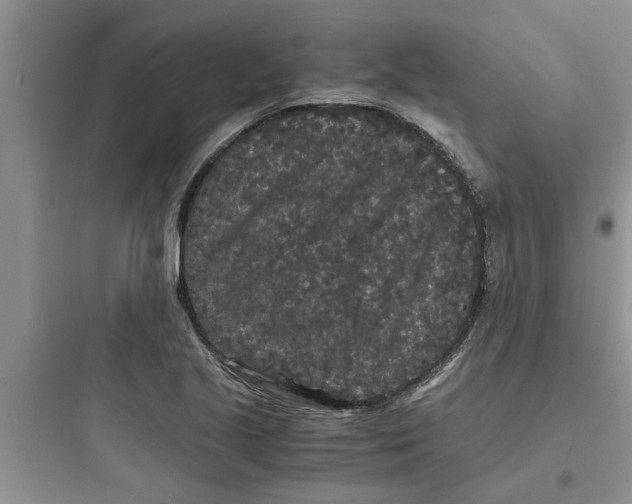 X0000097621221200803211738