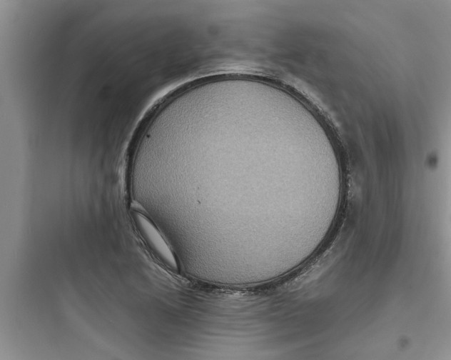X0000097621222200803211738