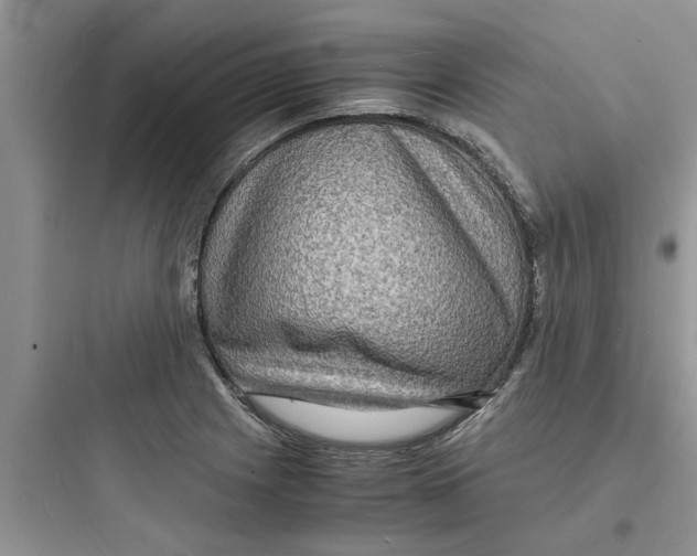 X0000097621225200803211738