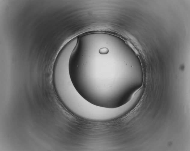 X0000097621226200803211738