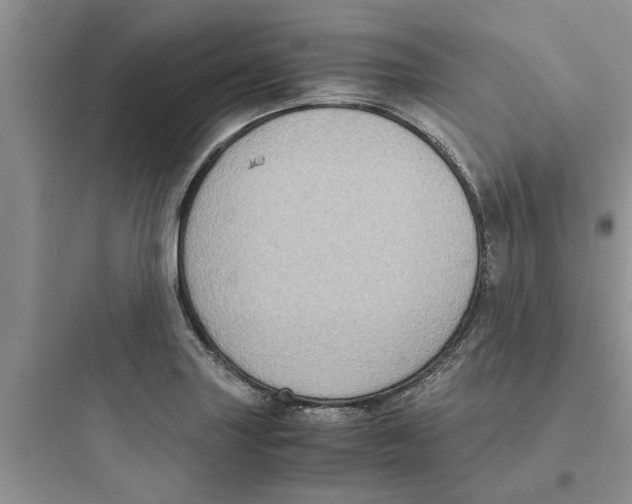 X0000097621227200803211738