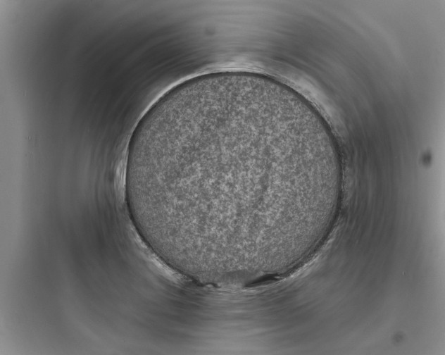 X0000097621228200803211738