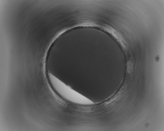 X0000097621229200803211738