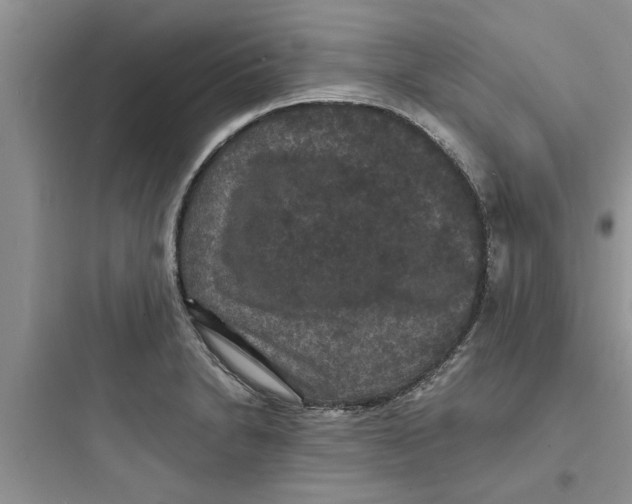 X0000097621230200803211738