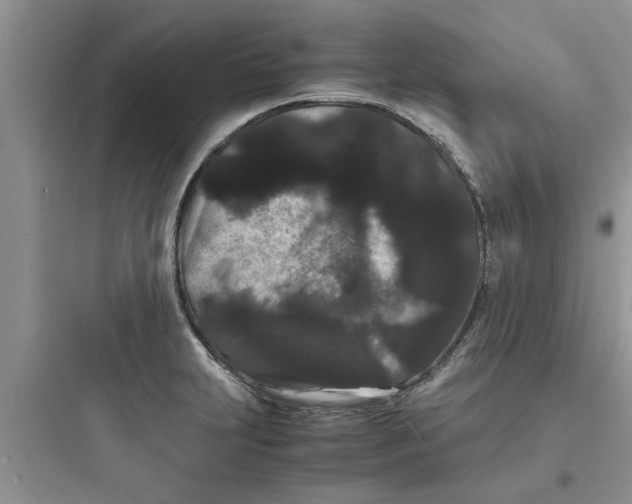 X0000097621231200803211738