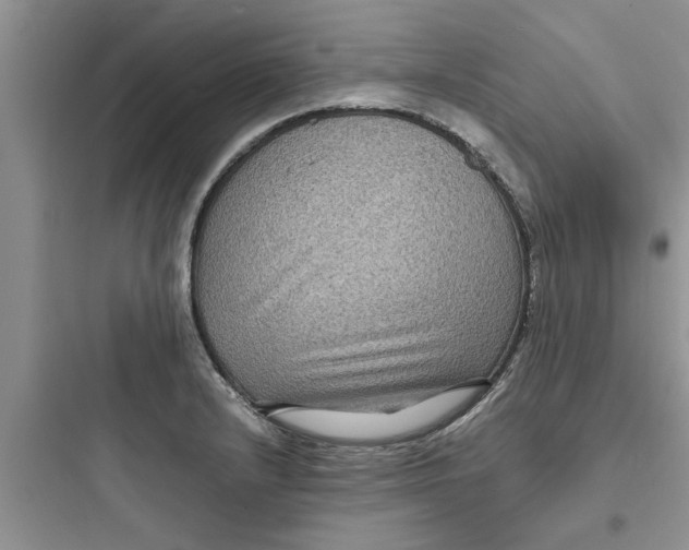 X0000097621232200803211738