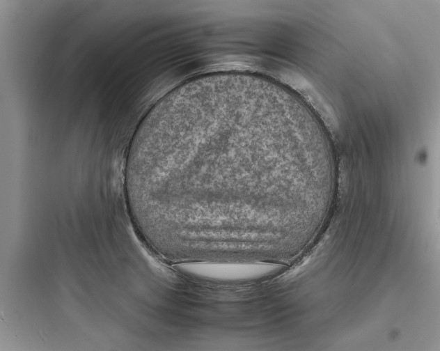 X0000097621233200803211738