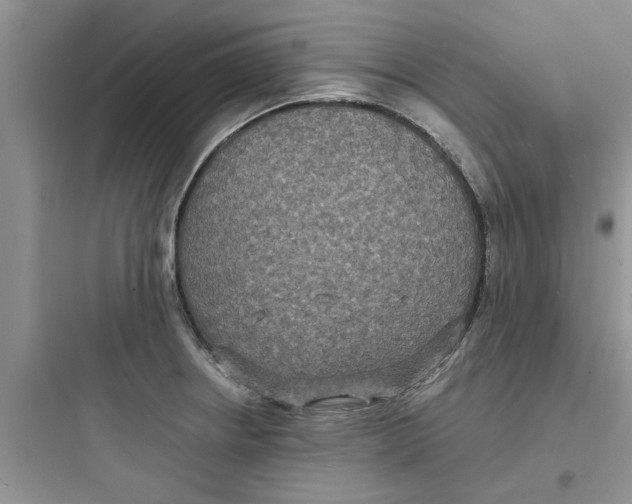 X0000097621234200803211738