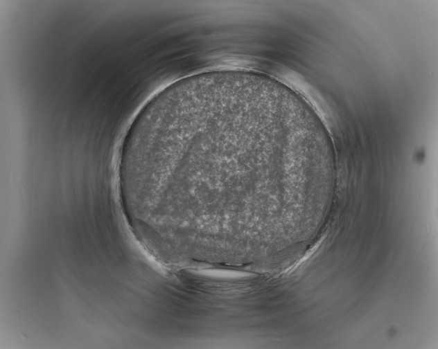 X0000097621235200803211738