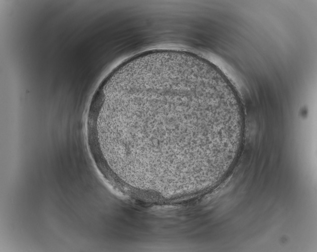 X0000097621237200803211738