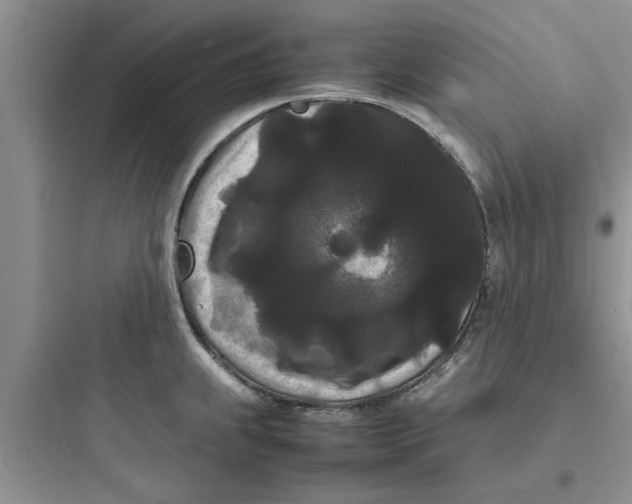 X0000097621239200803211738