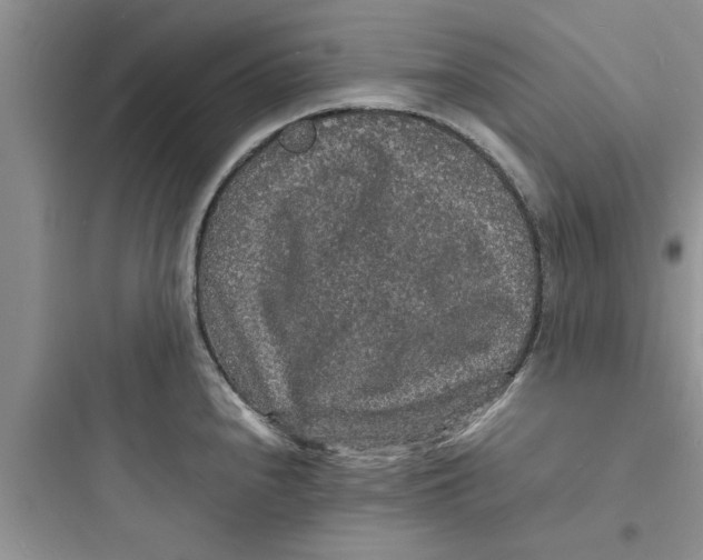 X0000097621240200803211738