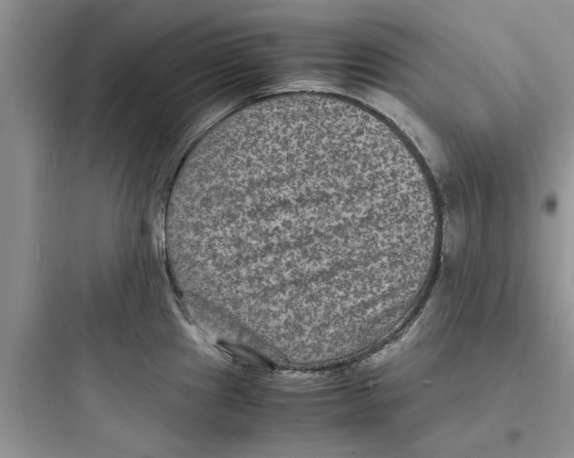 X0000097621241200803211738