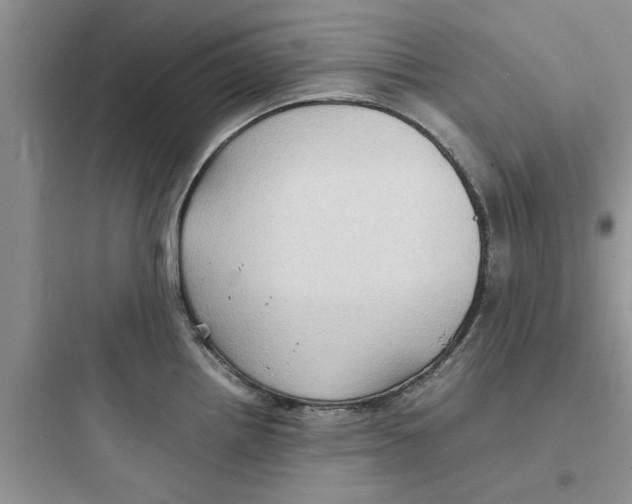 X0000097621242200803211738