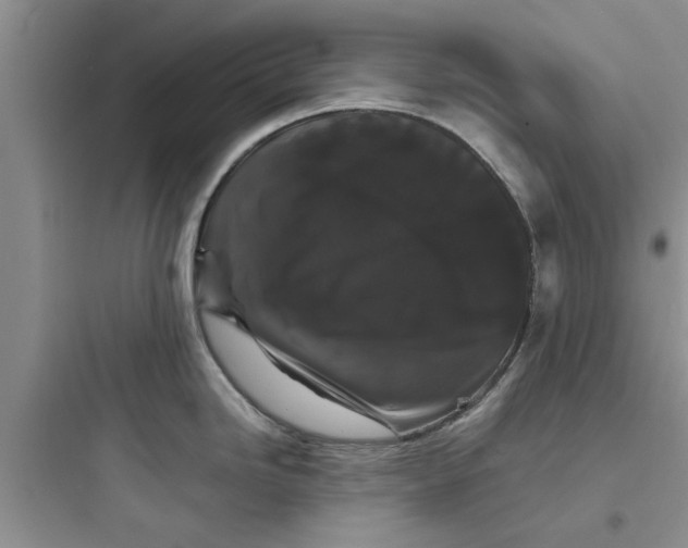 X0000097621246200803211738