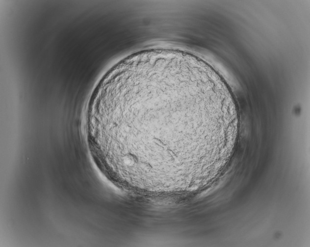 X0000097621247200803211738