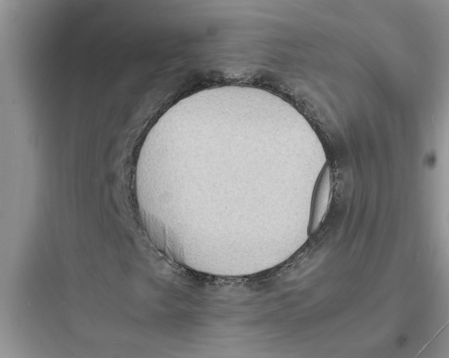 X0000097621249200803211737