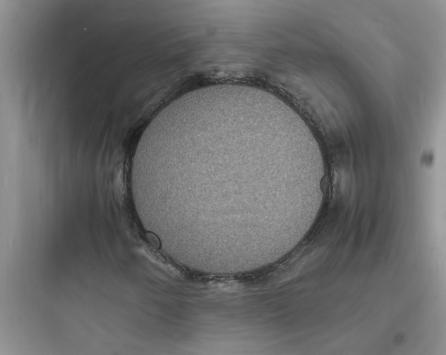 X0000097621250200803211737