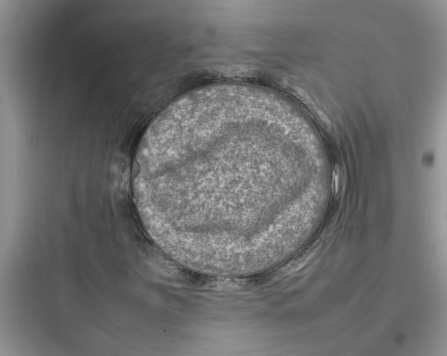 X0000097621251200803211737