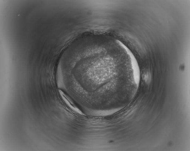 X0000097621252200803211737