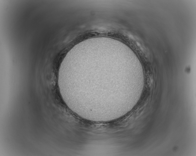 X0000097621253200803211737