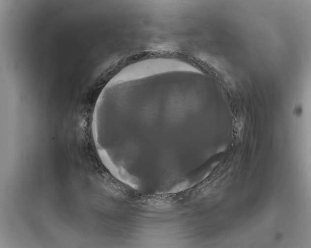 X0000097621254200803211737