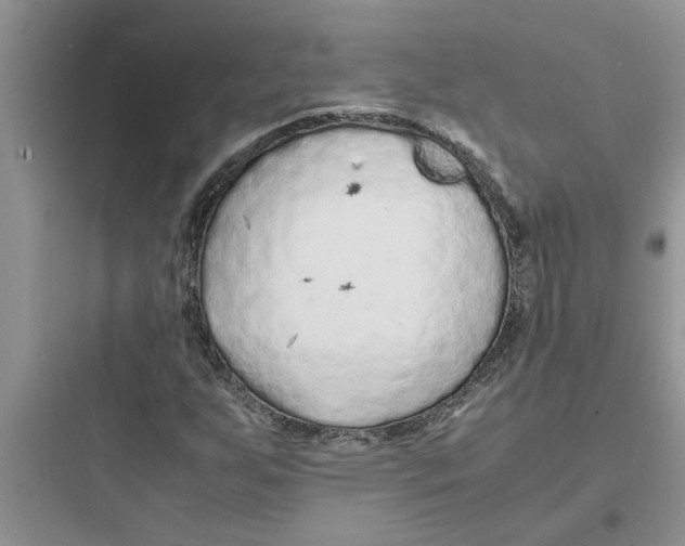 X0000097621255200803211737