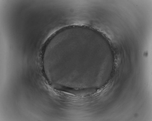 X0000097621256200803211737
