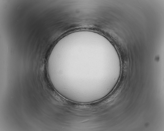 X0000097621257200803211737