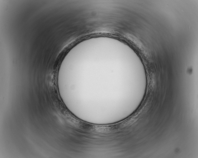 X0000097621258200803211737